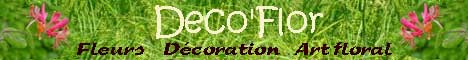 Fleurs, arts floral, d�coration
