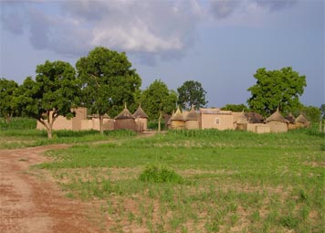 Action humanitaire au Burkina Faso : la Ferme Pilote de Gui�