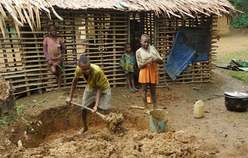 Construction traditionnelle dans un campement pygmée au Cameroun