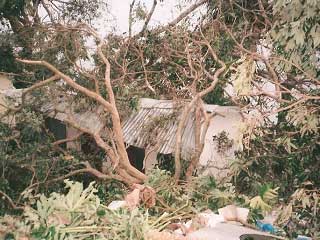 Les dégâts du le cyclone Ivan à l'orphelinat de l'Ile Ste Marie