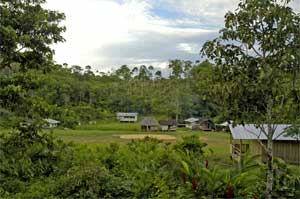 Village en for�t amazonienne