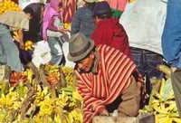 March� traditionnel indien
