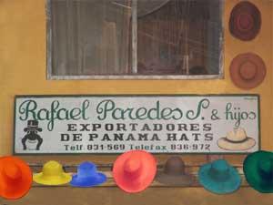 Le petit train des Andes