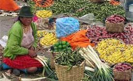 March� traditionnel indien