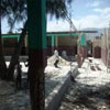 Tremblement de terre d�vastateur en Ha�ti