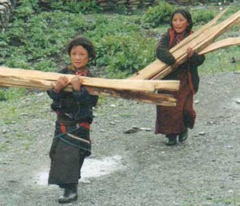 Transport du bois pour la construction de l'école de la Vallée du Penzang au Népal