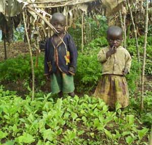 Un jardin potager pour les orphelins du sida du Rwanda