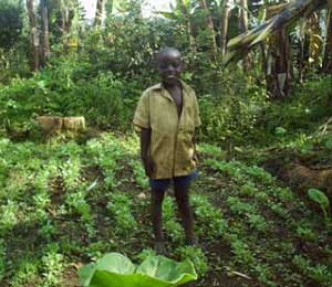 Des jardins potagers pour la sécurité alimentaire des orphelins du sida