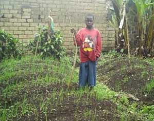 Des jardins potagers contre la malnutrition des orphelins du sida
