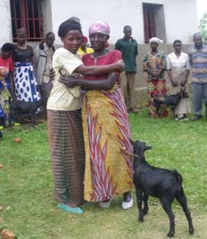 Don d'une chèvre aux familles vulnérables du Rwanda