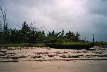 Passage du cyclone Gafilo à Madagascar