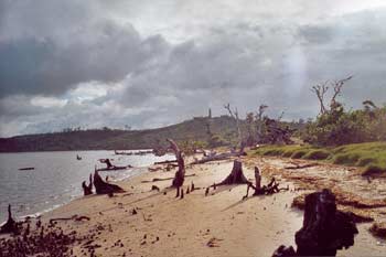Le cyclone Indlala sur Madagascar