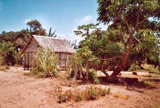 Habitations et maisons traditionnelles à Madagascar