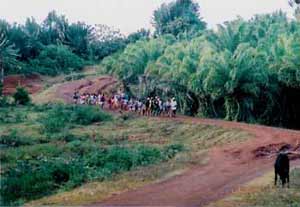 Voyage d'études, parc naturel Masoala à Madagascar