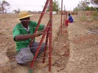 Unbe nouvelle technique de clôture à Guiè, Burkina Faso