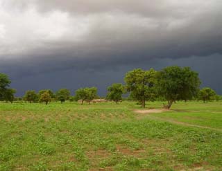 De bonnes pluies à Guiè, Burkina Faso