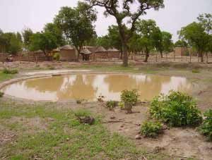Pluviométrie au Sahel, Guiè, Burkina Faso