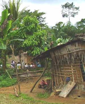 Campements Pygmées et semi-sédentarisation