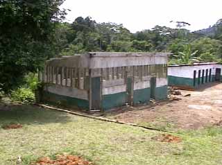 Porcherie et élevage de porcs en milieu Pygmée au Cameroun