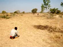 Défrichage des terrains cédés à l'AZN, Burkina Faso