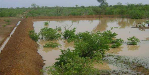 Mare ou bulli retenant l'eau de pluie au bas des champs, Ferme Pilote de Goma, Burkina Faso