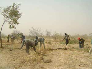 Défrichage du pare-feu, Ferme Pilote de Goéma, Burkina Faso