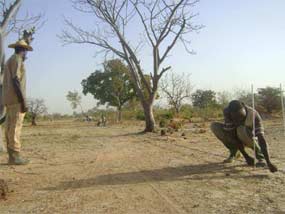Traçage de la tranchée du périmètre, Ferme Pilote de Goèma, Burkina Faso