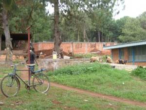 Travaux de maçonnerie, maternité de Kirundo