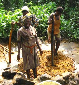Production artisanale d'huile de palme au Cameroun