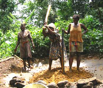 Production artisanale d'huile de palme en Afrique
