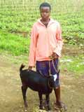Petit élevage au Rwanda