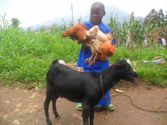 Orpheline du sida avec sa chèvre et ses poules