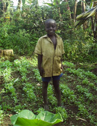 Jardin potager d'un orphelin du sida au Rwanda