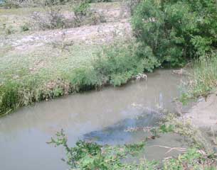 Le canal principal, derrière les bassins